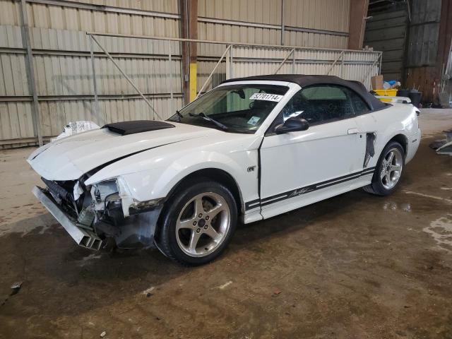 Lot #2526600921 2003 FORD MUSTANG GT salvage car