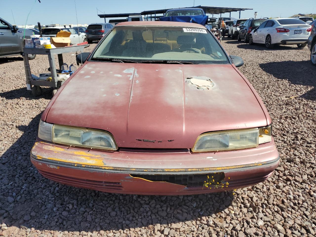 1FAPP6046MH133021 1991 Ford Thunderbird