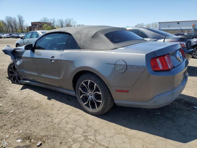 2010 Ford Mustang VIN: 1ZVBP8EN2A5163001 Lot: 50523924