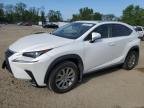 2021 LEXUS NX 300H BA - JTJDJRDZ9M2166326