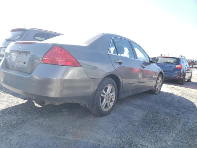 2006 Honda Accord Se VIN: 1HGCM56366A804534 Lot: 50601994