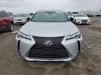 LEXUS UX 250H photo