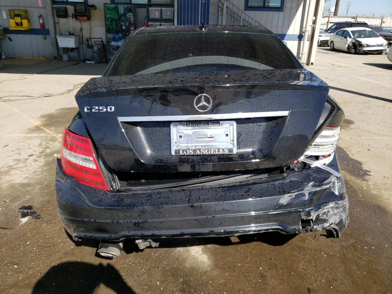 WDDGF4HB3DG096462 2013 Mercedes-Benz C 250