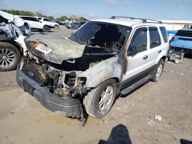 Lot #2478298390 2004 FORD ESCAPE XLT salvage car