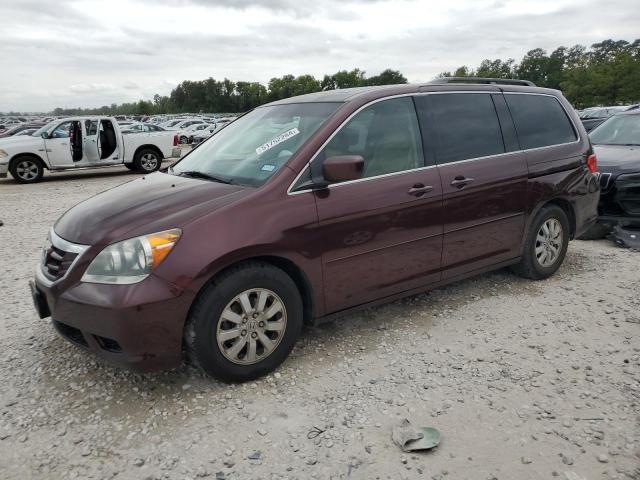 2010 Honda Odyssey Exl VIN: 5FNRL3H73AB035751 Lot: 51752284