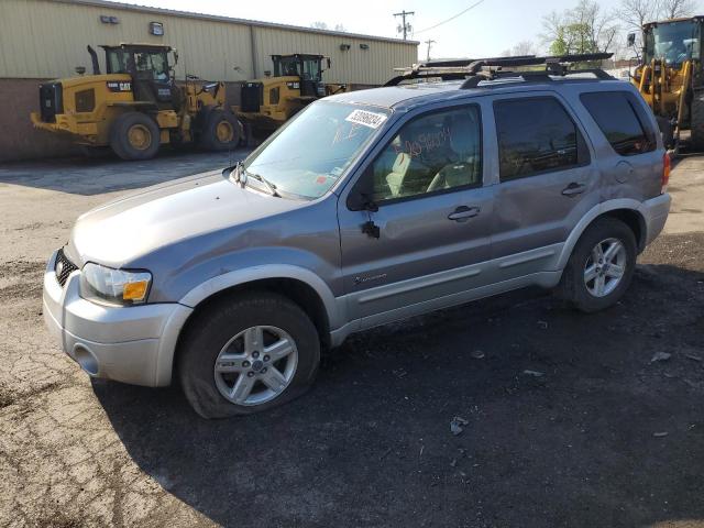 Lot #2521988834 2007 FORD ESCAPE HEV salvage car