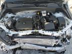 Lot #3023696879 2023 CHEVROLET TRAILBLAZE