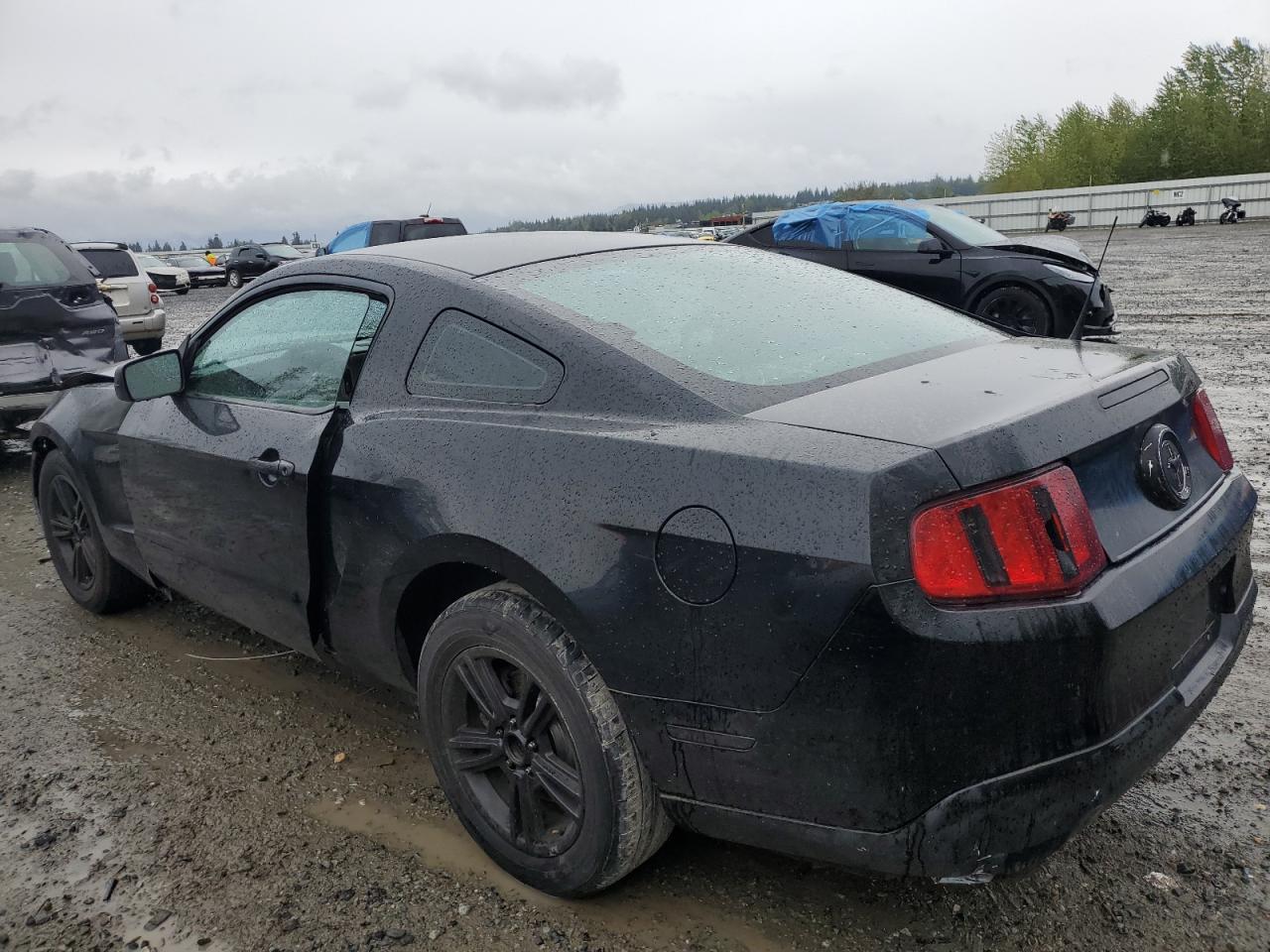 1ZVBP8AM2B5117733 2011 Ford Mustang