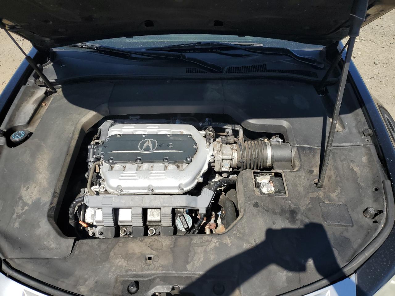 19UUA9F58BA001613 2011 Acura Tl