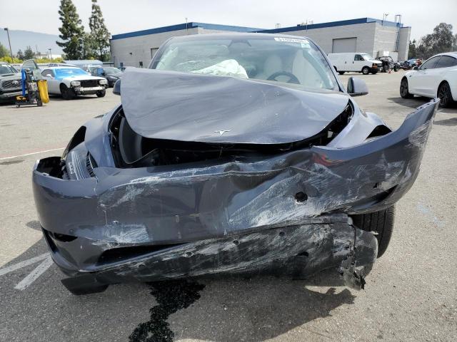 2023 Tesla Model Y VIN: 7SAYGDEE3PA117500 Lot: 51405704