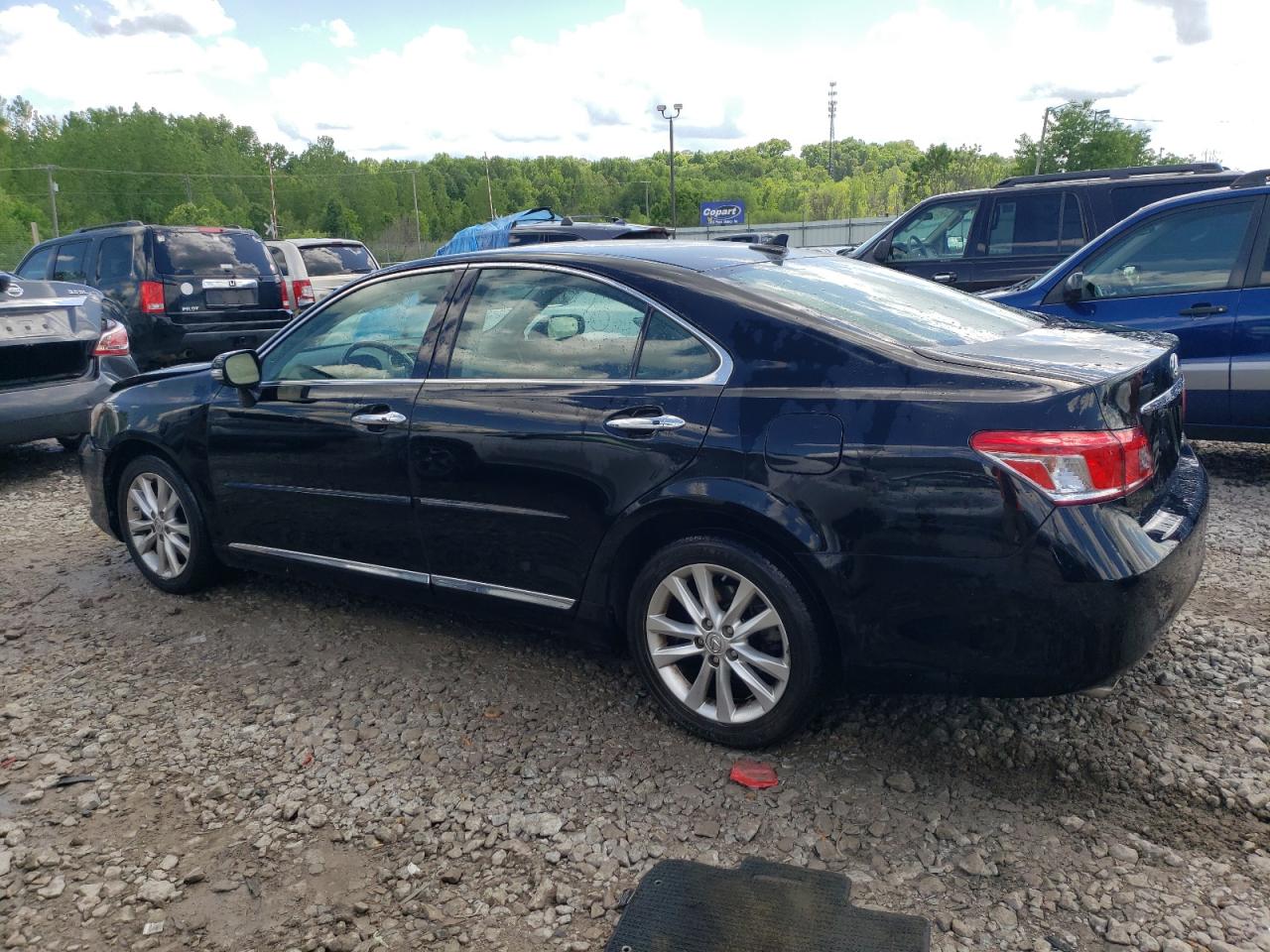 Lot #2741573355 2011 LEXUS ES 350