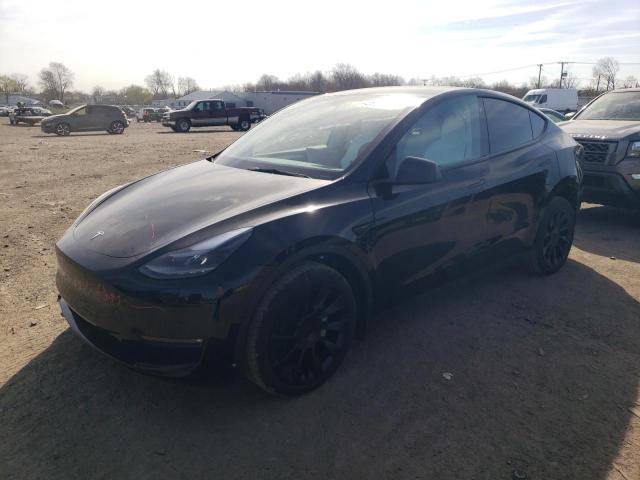 2023 Tesla Model Y VIN: 7SAYGDEE2PF750430 Lot: 49535604