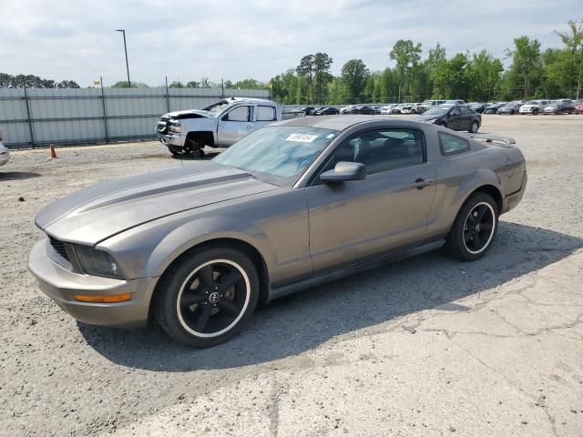 Lot #2503434496 2005 FORD MUSTANG salvage car