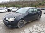 FORD FOCUS S/SE photo