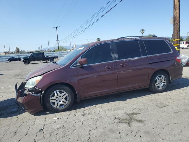 2007 Honda Odyssey Ex VIN: 5FNRL38407B033423 Lot: 50713104