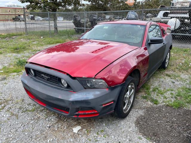 1ZVBP8CFXD5209920 | 2013 Ford mustang gt