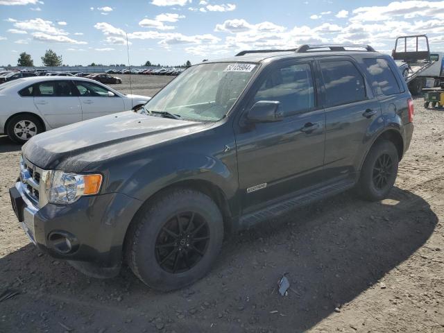 Lot #2487110874 2008 FORD ESCAPE HEV salvage car