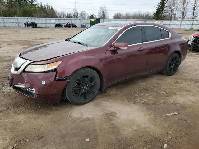 2009 Acura Tl VIN: 19UUA86209A800778 Lot: 52088954