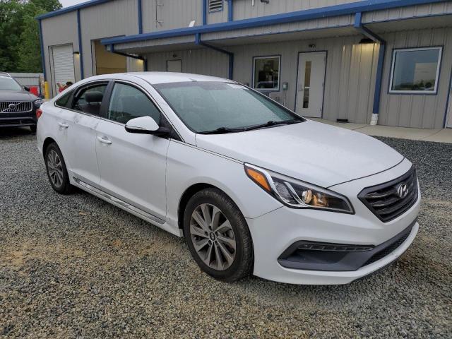 2015 Hyundai Sonata Sport VIN: 5NPE34AF5FH101554 Lot: 51097304