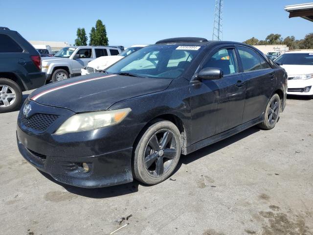 Lot #2503677274 2010 TOYOTA CAMRY BASE salvage car