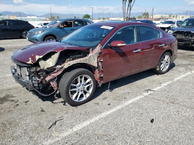 Lot #2473586198 2010 NISSAN MAXIMA S salvage car