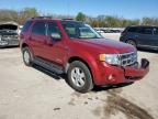 FORD ESCAPE XLT photo