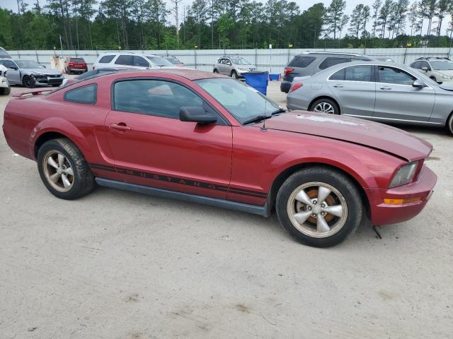Lot #2484455527 2005 FORD MUSTANG salvage car