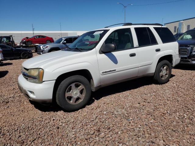 2003 Chevrolet Trailblazer VIN: 1GNDT13S032320284 Lot: 49465204