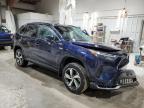 JTMAB3FV4PD142017 2023 TOYOTA RAV4 photo no. 4
