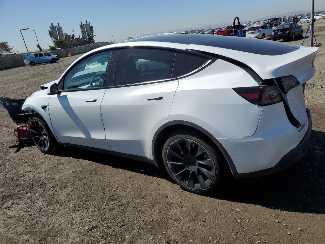 2023 Tesla Model Y vin: 7SAYGDEE6PF883482