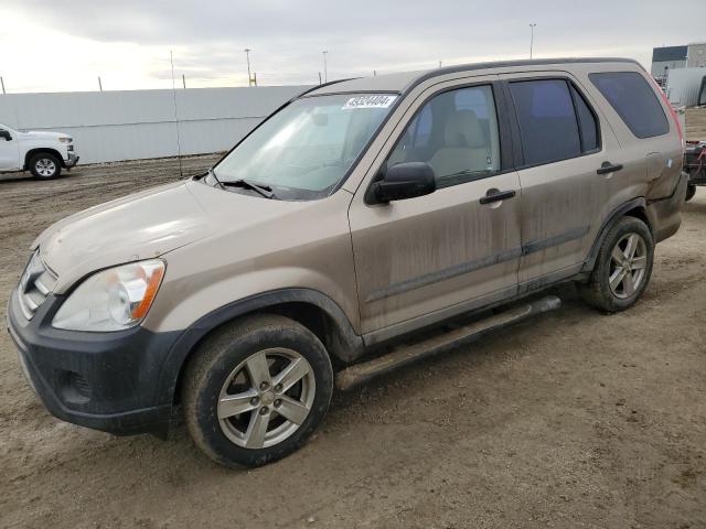 2005 Honda Cr-V Lx VIN: JHLRD785X5C801337 Lot: 49324404