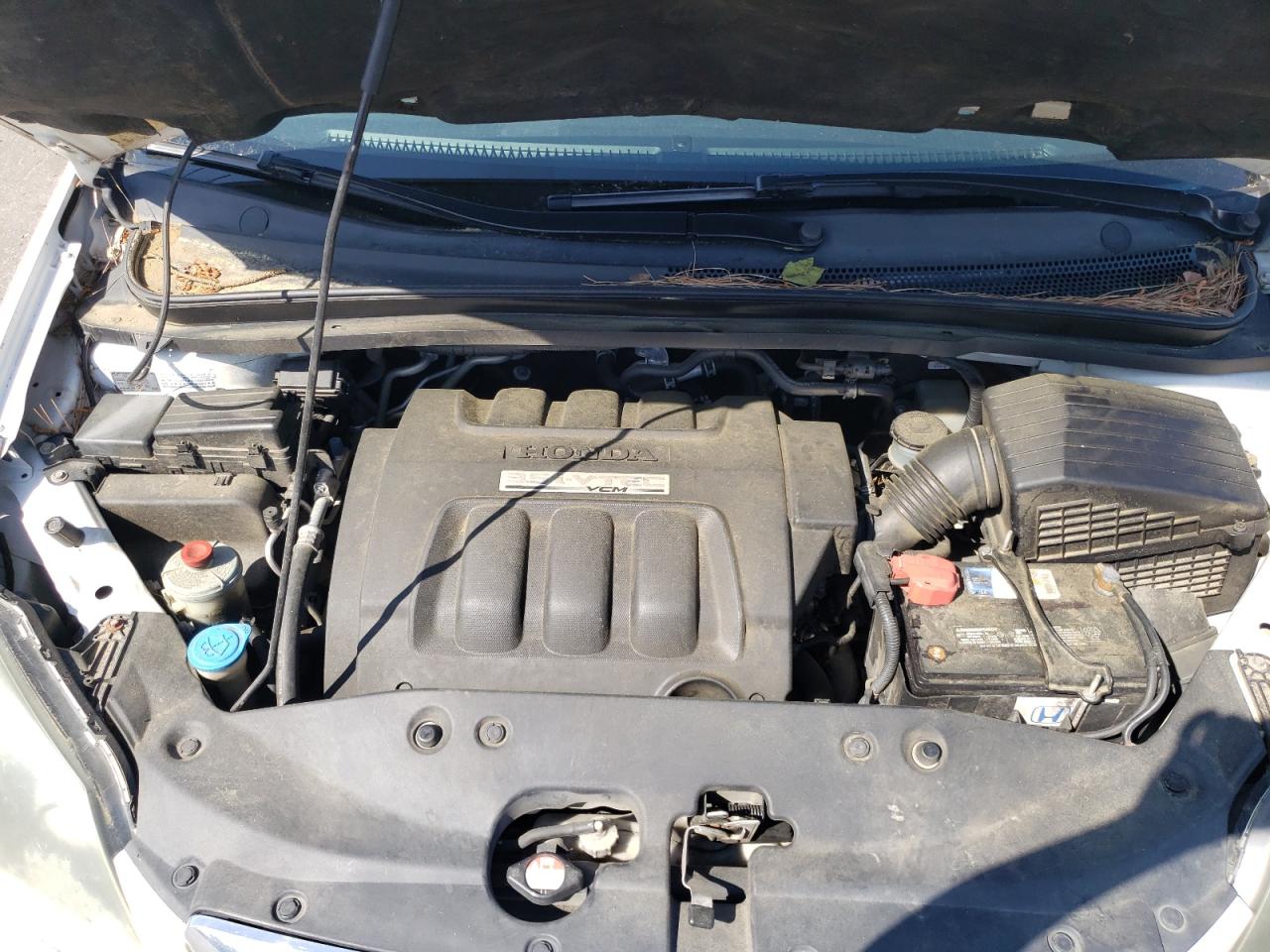 5FNRL38726B014638 2006 Honda Odyssey Exl