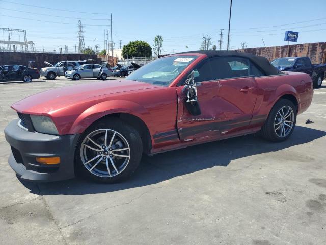 Lot #2505941434 2007 FORD MUSTANG salvage car