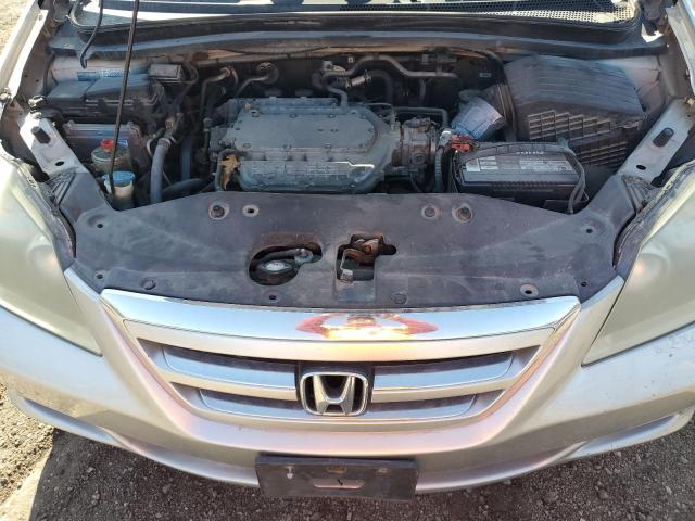 2006 Honda Odyssey Exl VIN: 5FNRL38726B434304 Lot: 49623174