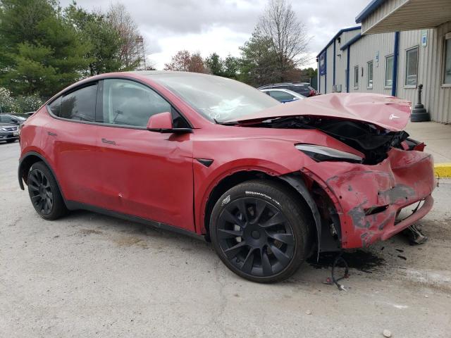 2022 Tesla Model Y VIN: 7SAYGDEE8NF393977 Lot: 49490904