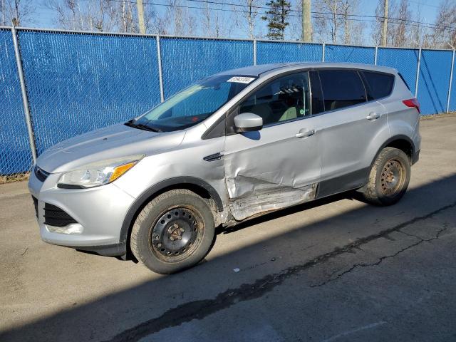 Vin: 1fmcu0gx5eua87202, lot: 51943704, ford escape se 2014 img_1