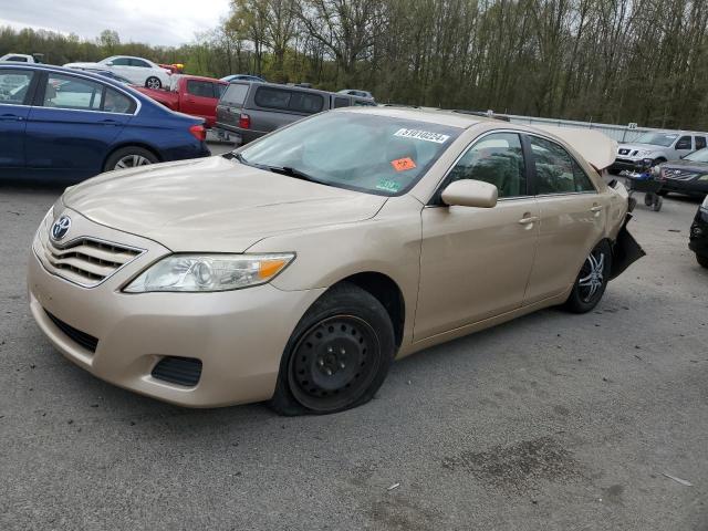 Lot #2505826475 2010 TOYOTA CAMRY BASE salvage car