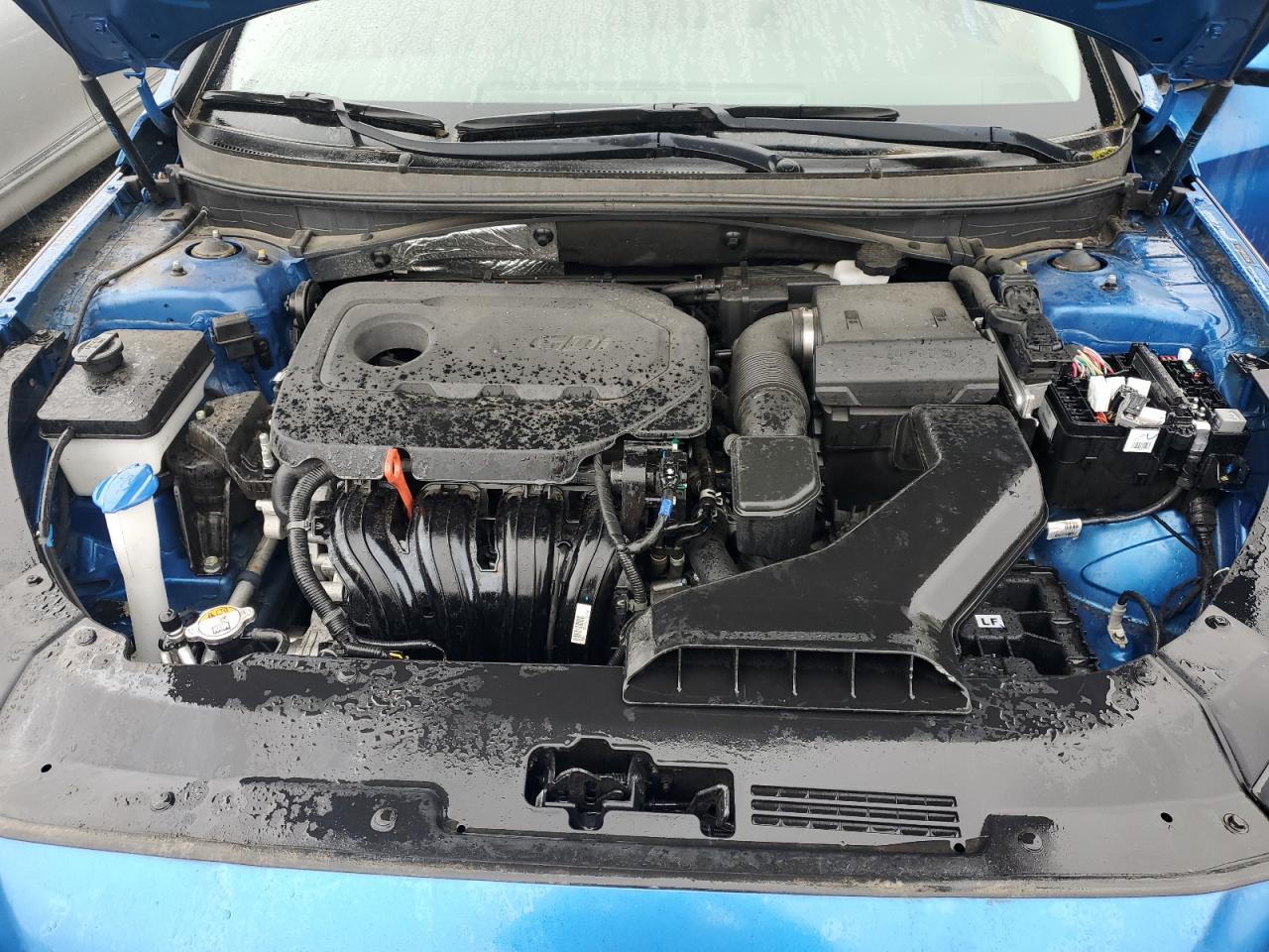 5NPE24AF0JH631717 2018 Hyundai Sonata Se