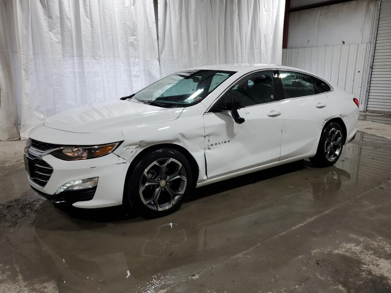 Lot #2464698269 2023 CHEVROLET MALIBU LT