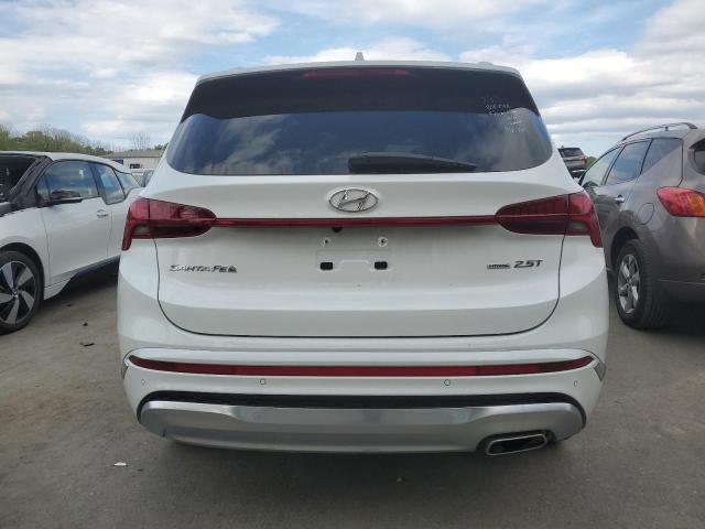 2023 Hyundai Santa Fe Calligraphy VIN: 5NMS5DAL9PH498154 Lot: 51049944