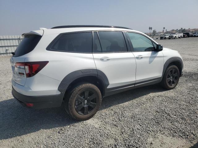 2022 HONDA PILOT TRAI 5FNYF6H80NB077586