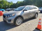 Top Destinations for Shipping Cars from the USA