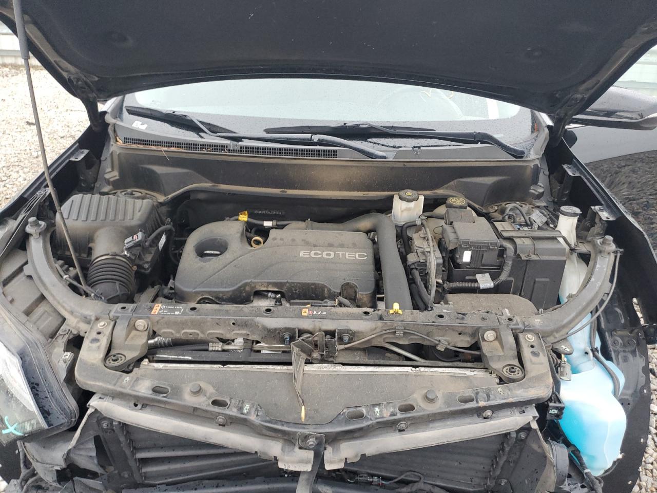 3GNAXTEV1KL278473 2019 Chevrolet Equinox Lt