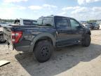 Lot #2993608192 2023 FORD F150 RAPTO