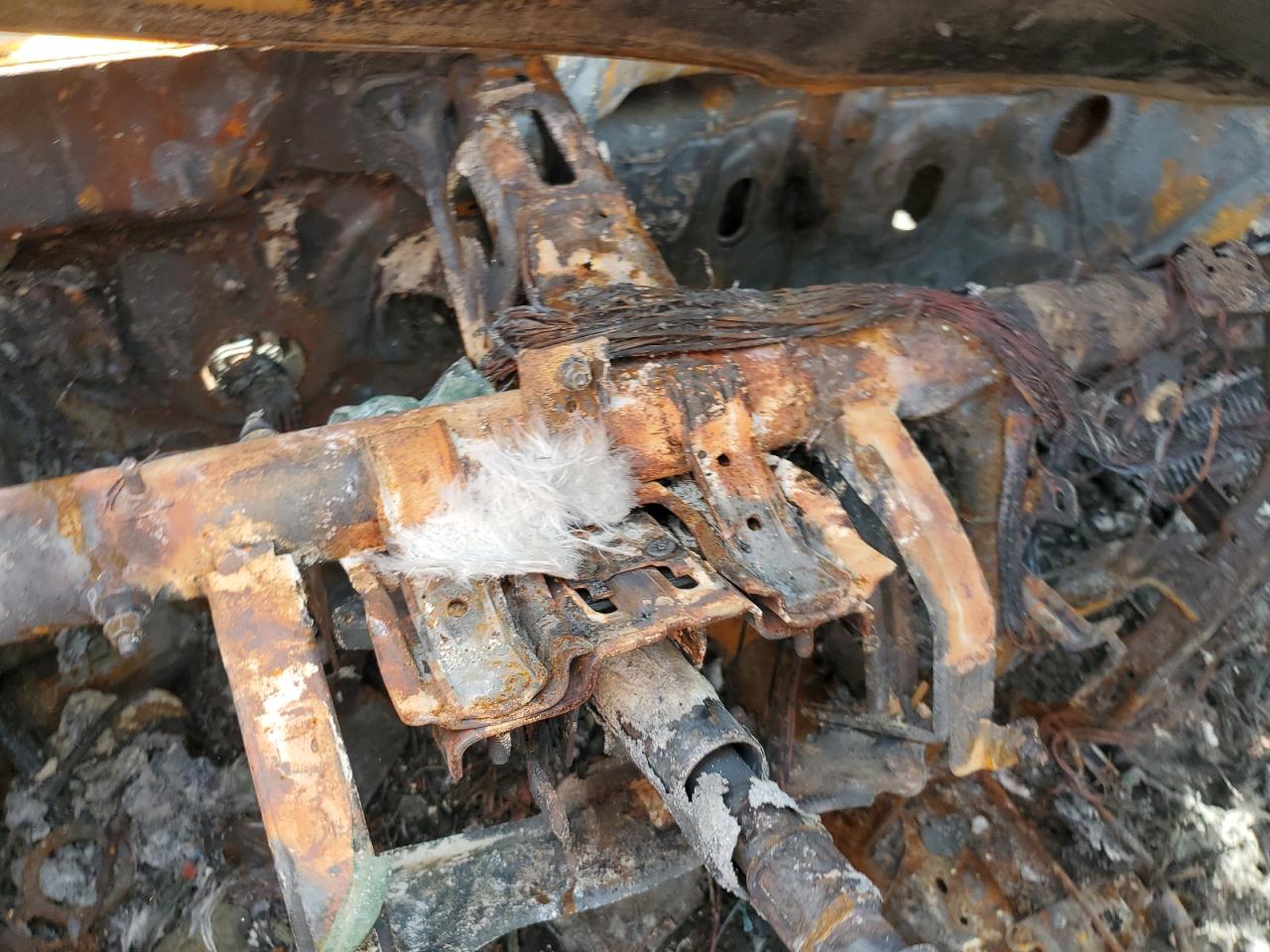 5XXGM4A73FG386684 2015 Kia Optima Lx