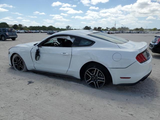 2023 Ford Mustang VIN: 1FA6P8TH3P5109108 Lot: 51238034