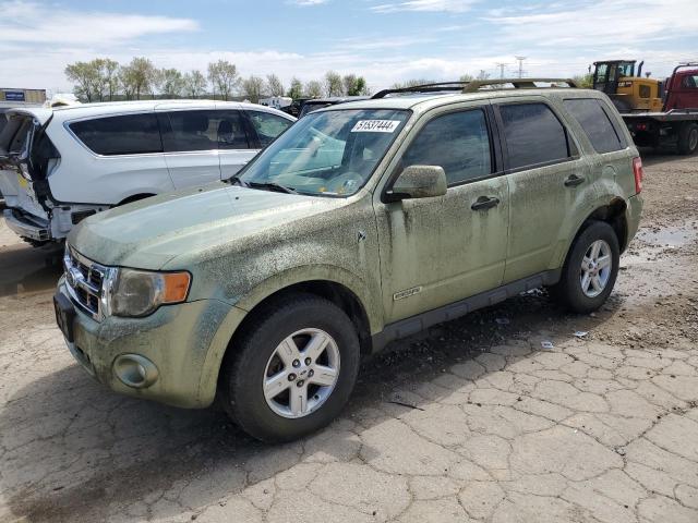 Lot #2493806246 2008 FORD ESCAPE HEV salvage car
