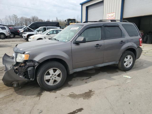 Lot #2535925992 2010 FORD ESCAPE salvage car