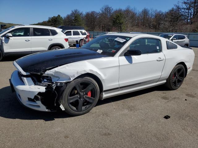 Lot #2521607637 2014 FORD MUSTANG salvage car