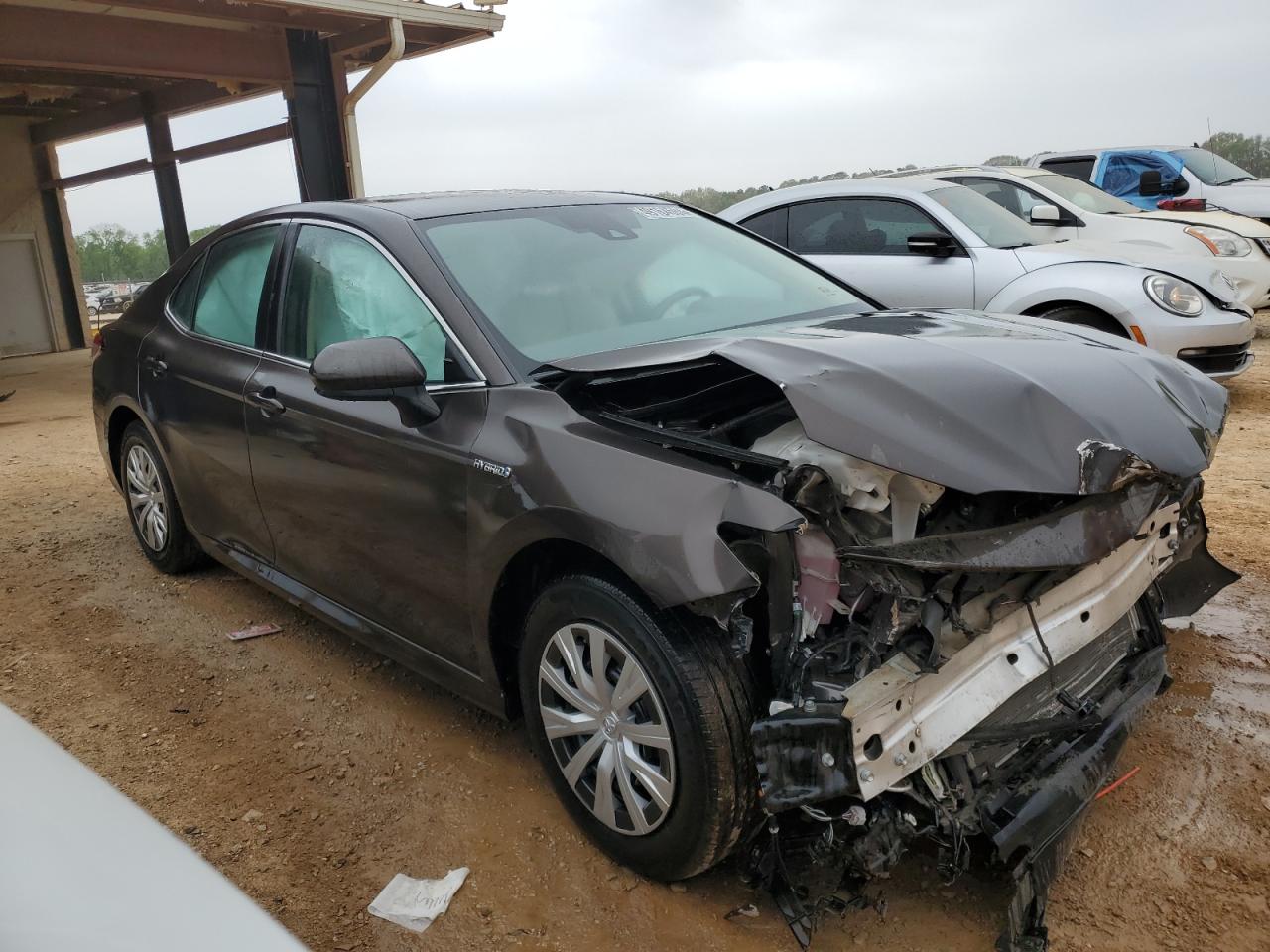 2019 Toyota Camry Le vin: 4T1B31HK6KU516365